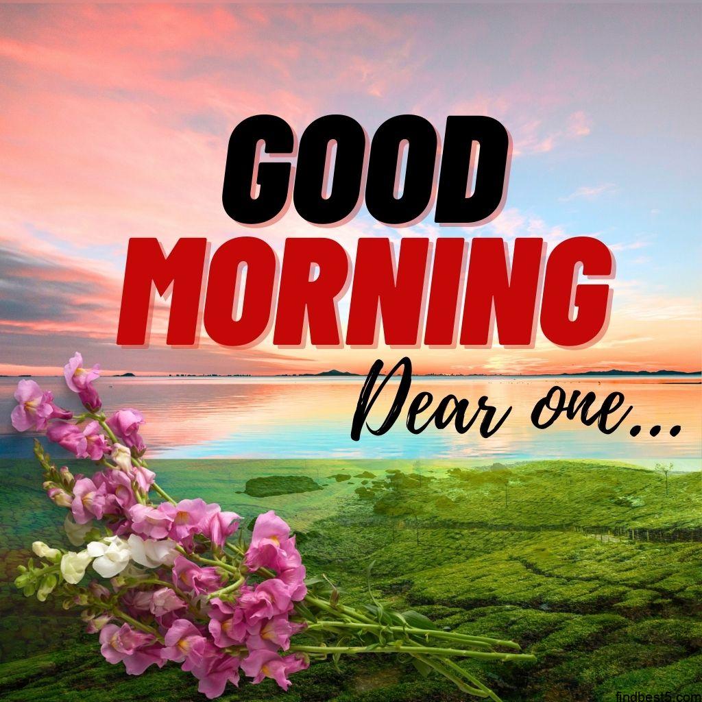Good Morning dear image with a beautiful background scenery and with flowers