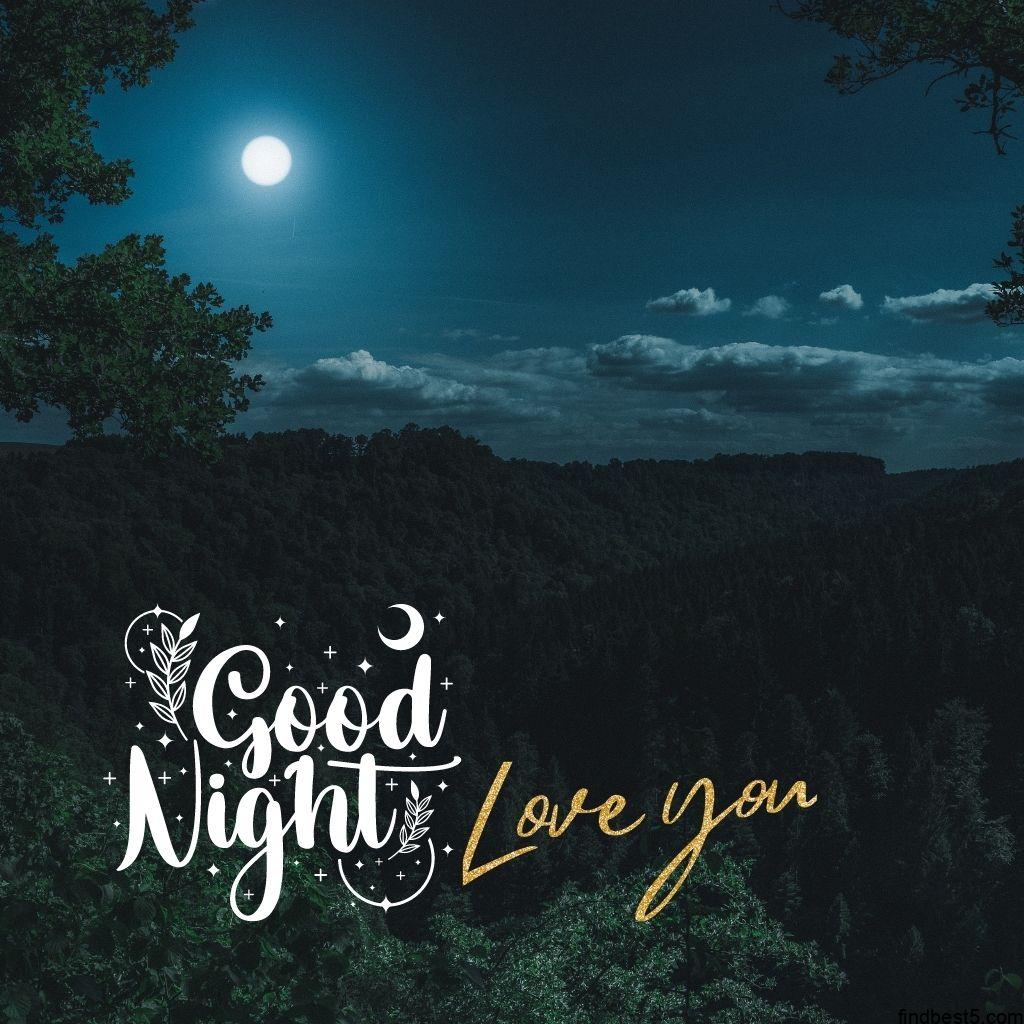 Good night image with beautiful nature scene and full moon