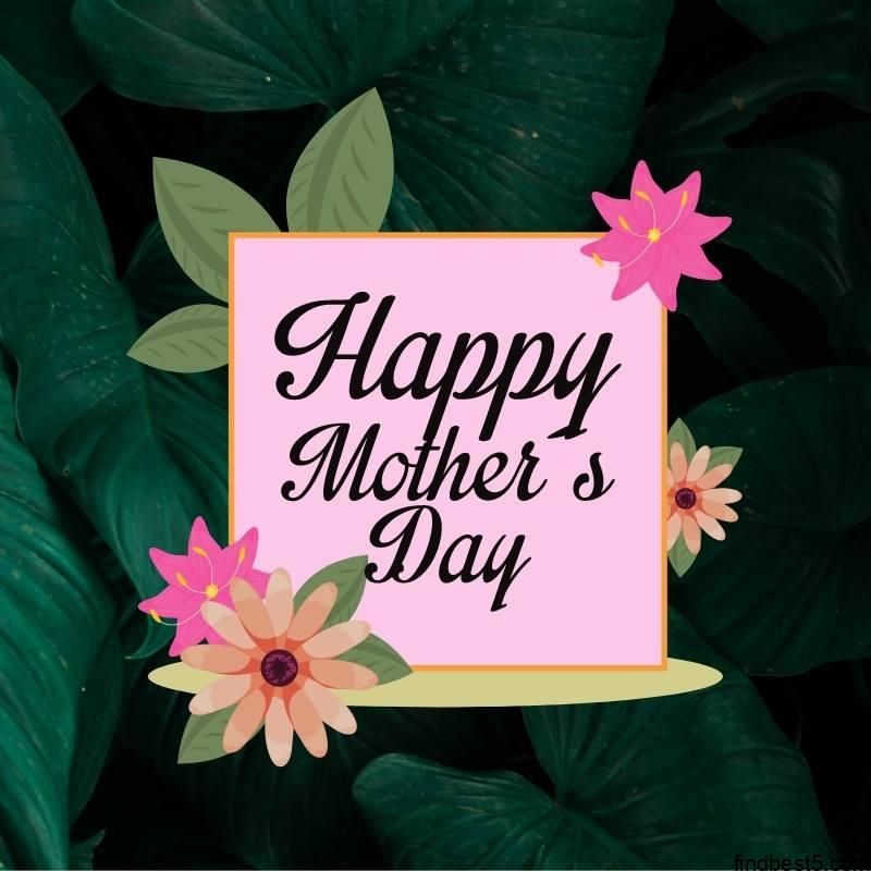 1 9 Happy Mothers Day Mom Wishes Happy mother's day wish image with pink flowers and green big leaves in background