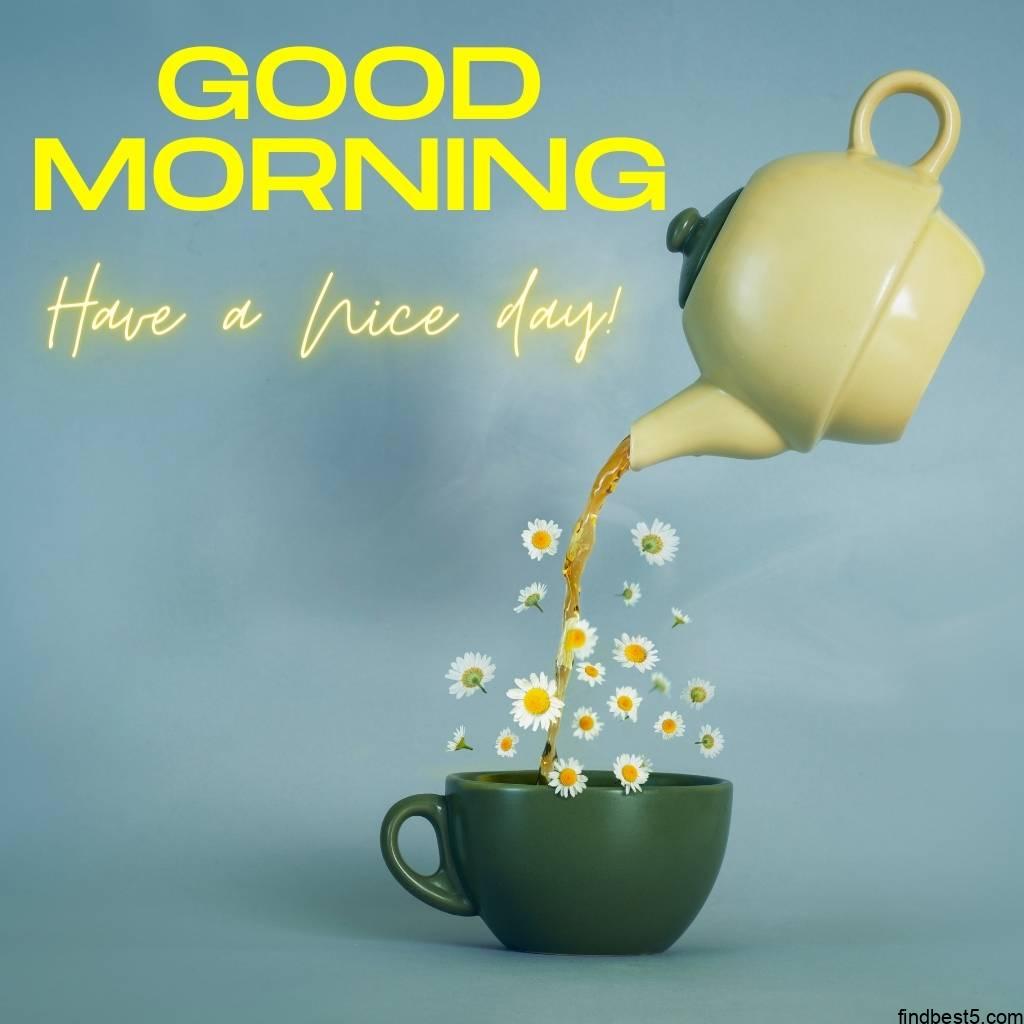 good morning images with tea and a plant