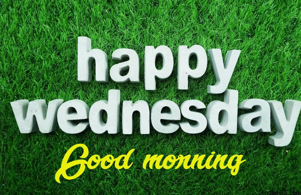 Good morning wednesday images with beautiful green grass in background