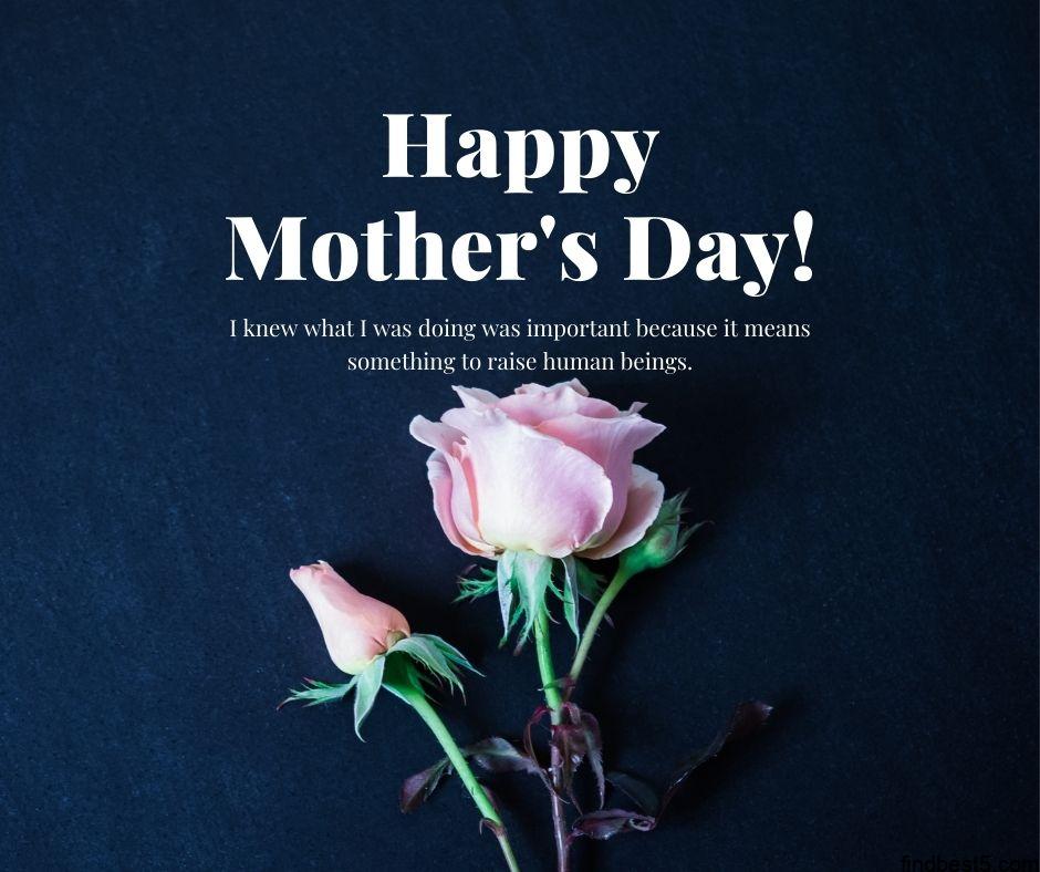 9 1 Mothers Day Images for Whatsapp free download happy mothers day images free download with pink rose and blue background